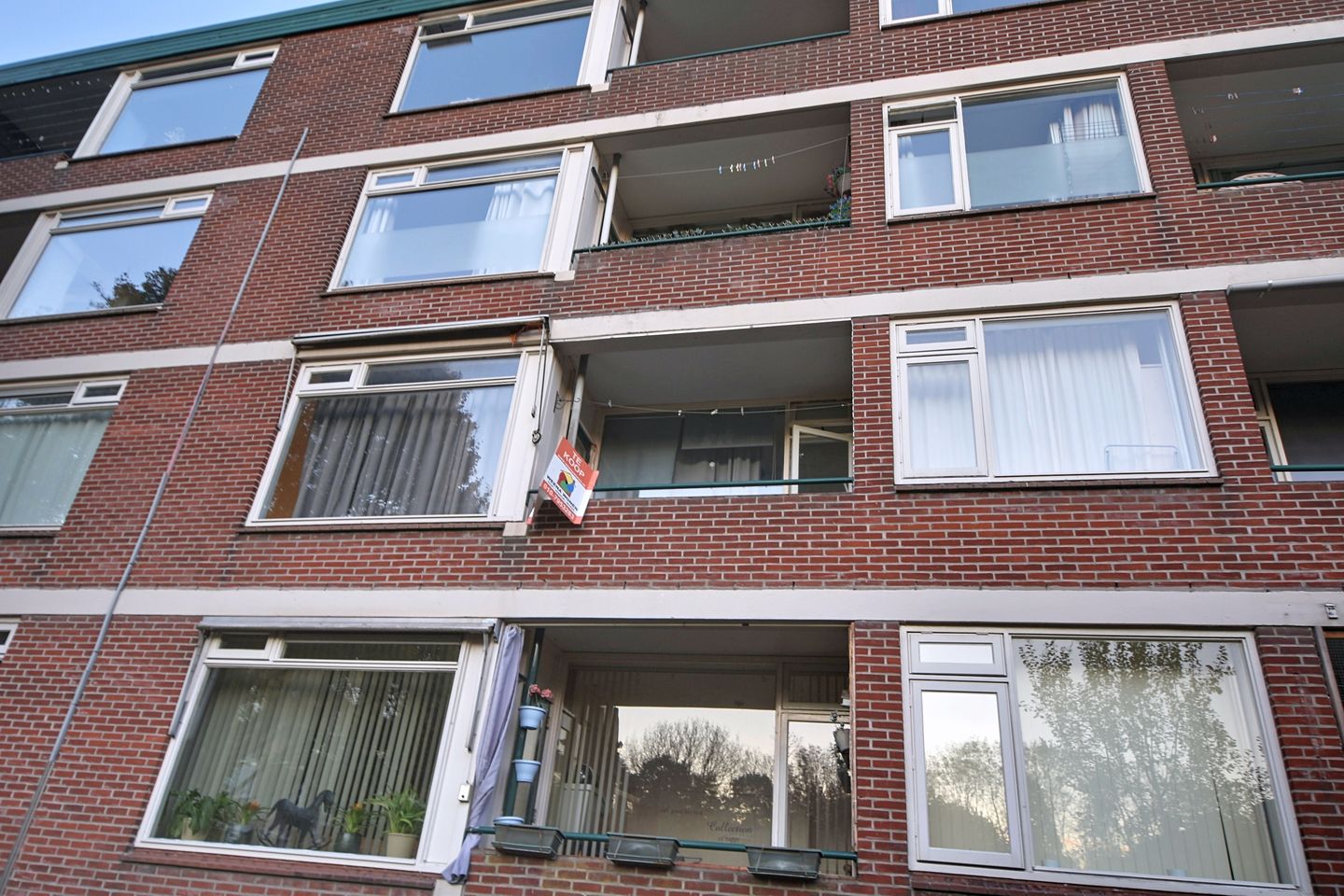 Foto 14 van Ruigoord 112