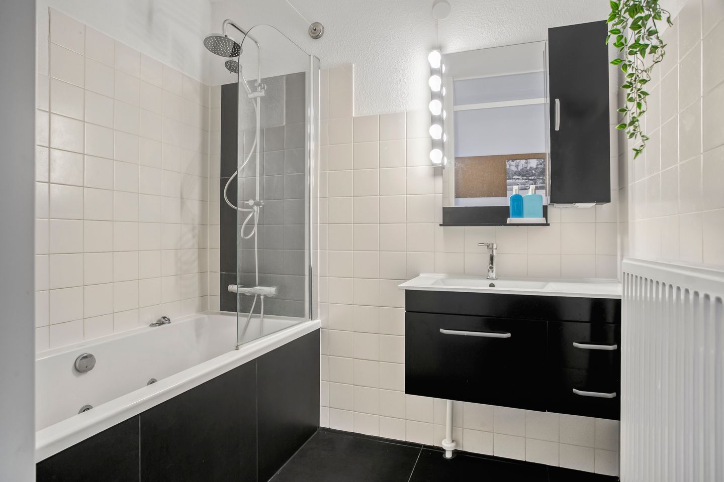 Foto 19 van Ben van Meerendonkstraat 295