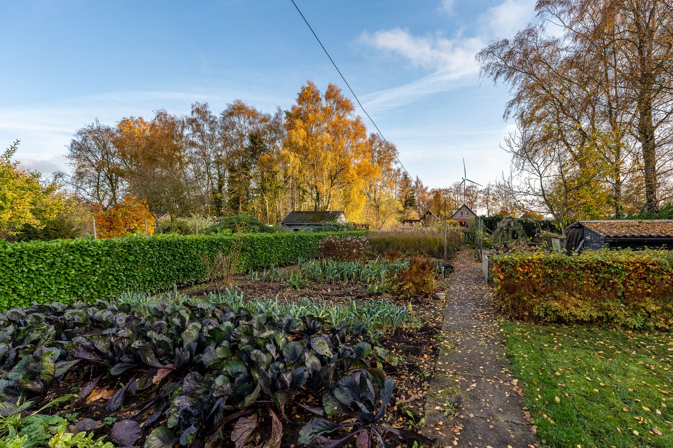 Foto 39 van Noorderdiep 390