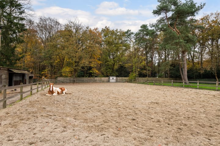 Foto 66 van Woudenbergseweg 31