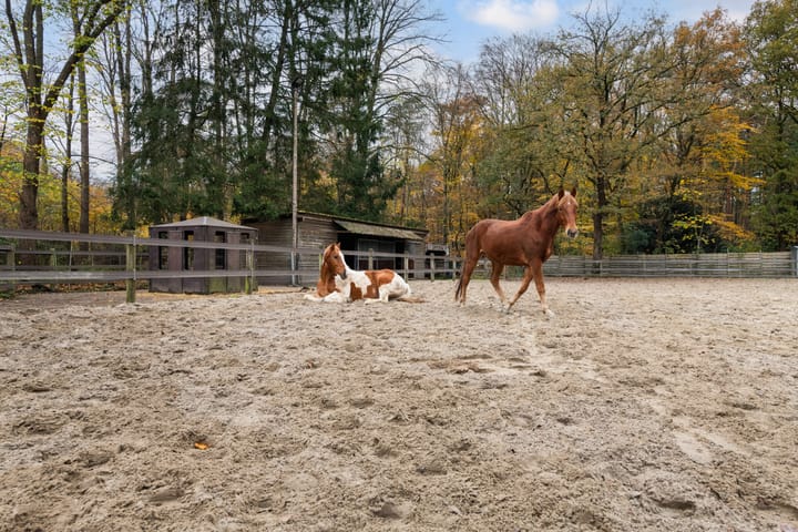 Foto 67 van Woudenbergseweg 31