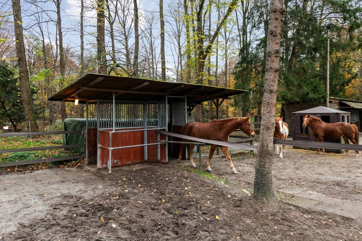 Foto 69 van Woudenbergseweg 31