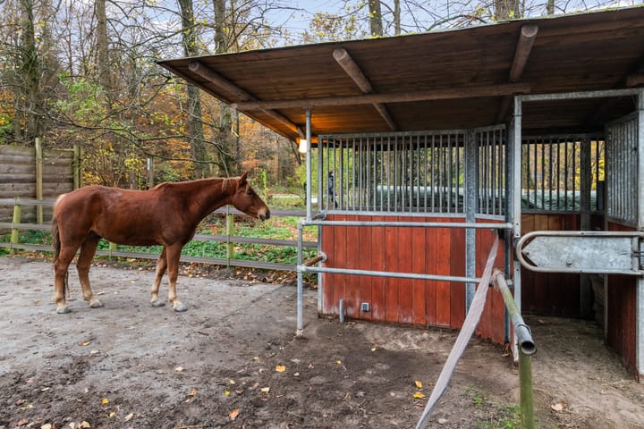 Foto 70 van Woudenbergseweg 31