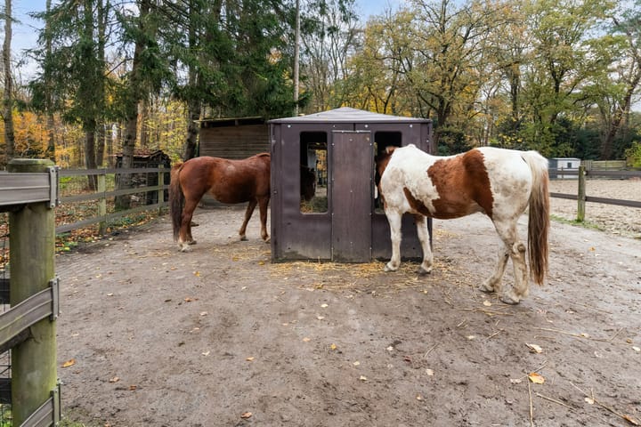 Foto 71 van Woudenbergseweg 31