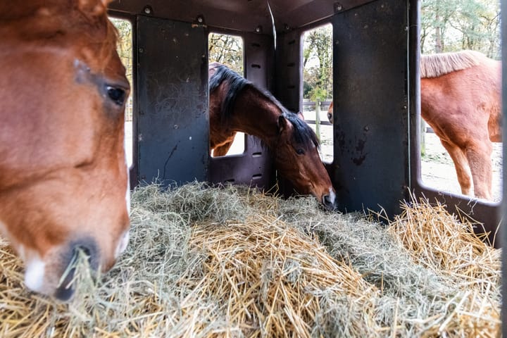 Foto 72 van Woudenbergseweg 31