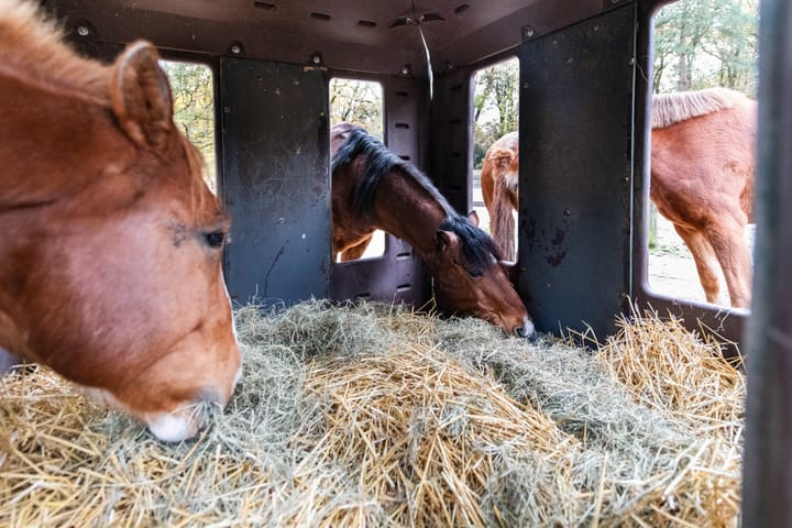 Foto 73 van Woudenbergseweg 31