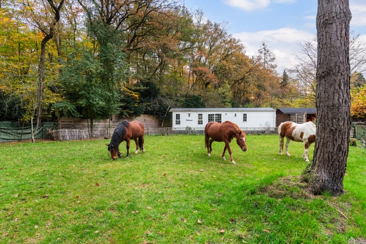 Foto 76 van Woudenbergseweg 31