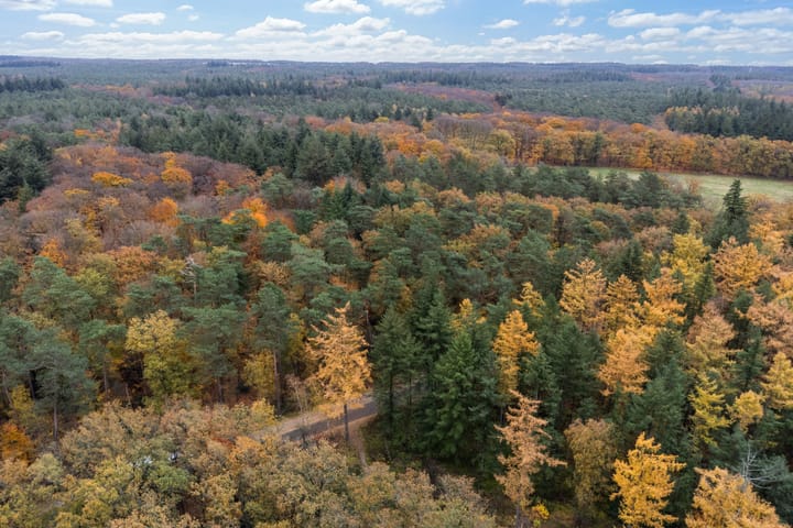 Foto 80 van Woudenbergseweg 31