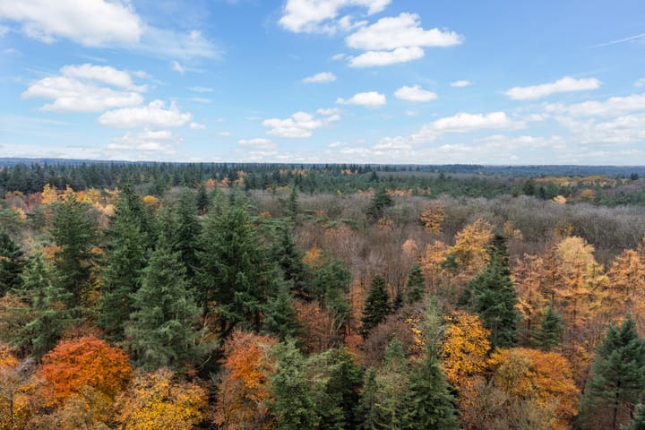 Foto 86 van Woudenbergseweg 31