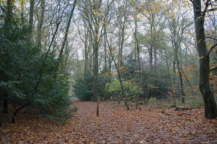 Foto 90 van Woudenbergseweg 31