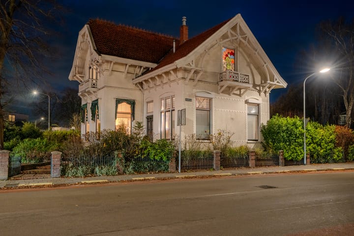 Foto 80 van Nassaustraat 19