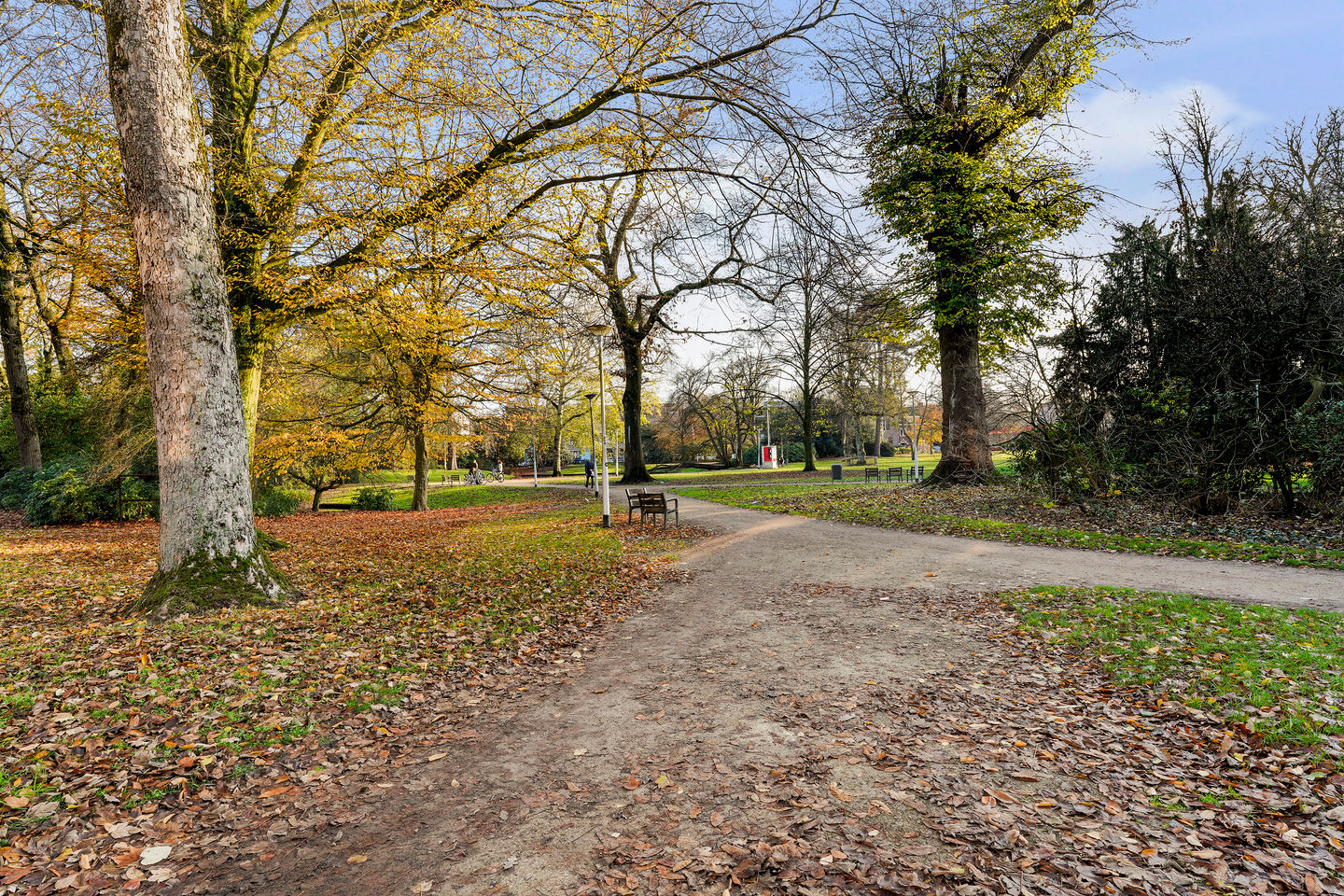 Foto 34 van Wilhelminapark 139-A