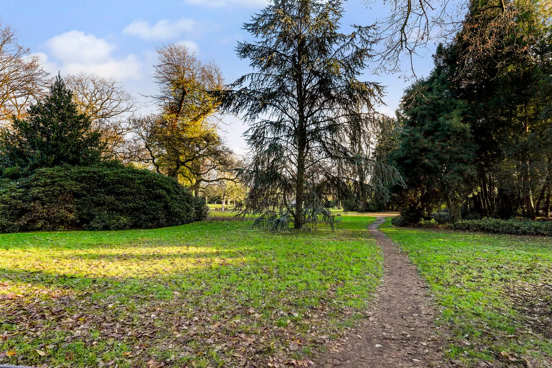 Foto 37 van Wilhelminapark 139-A