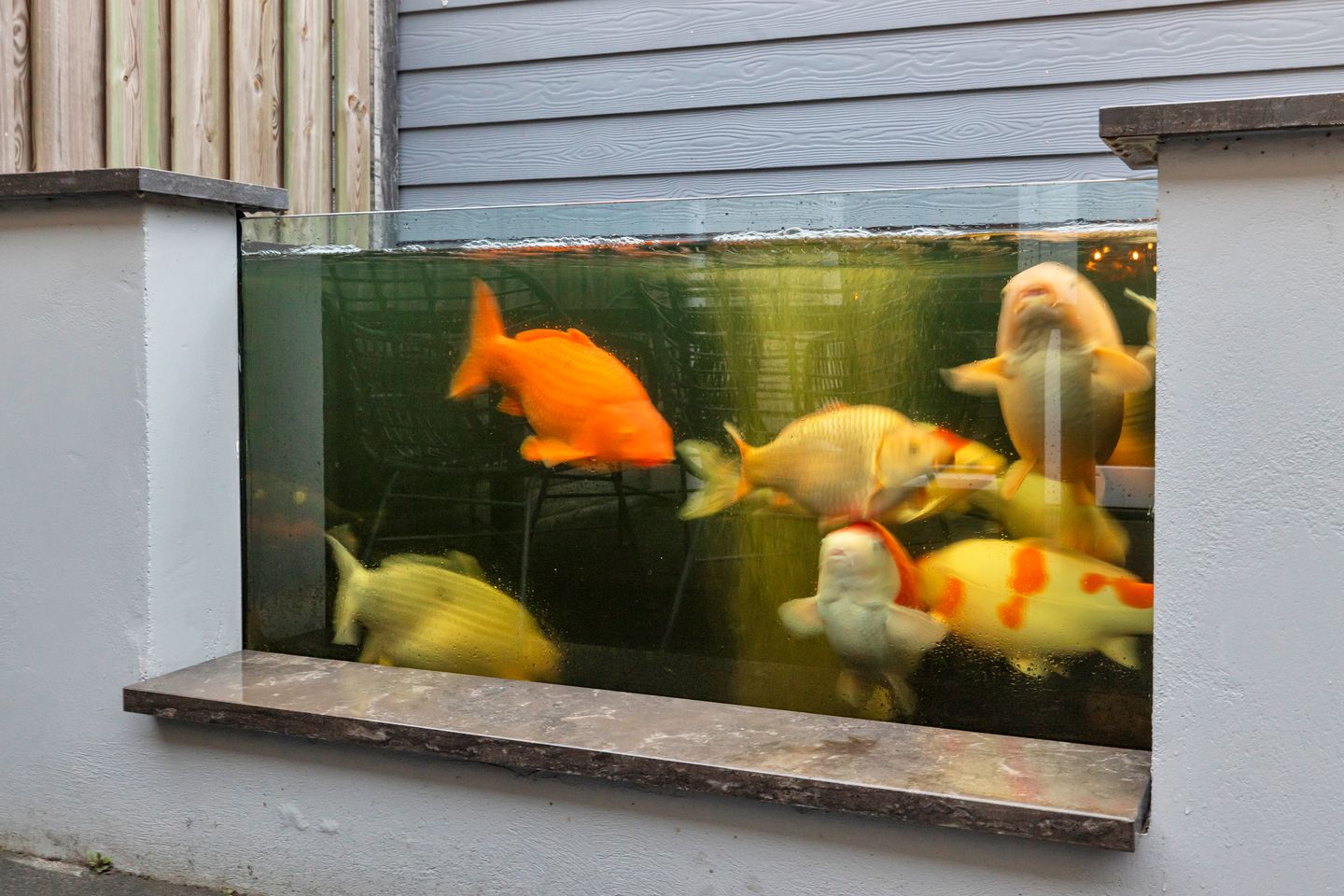 Photo 50 of Geneesherenhof 45