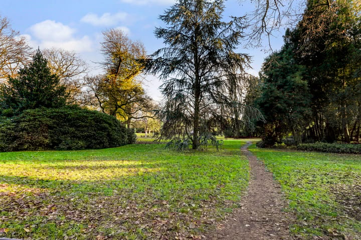 Foto 8 van Wilhelminapark 139-E