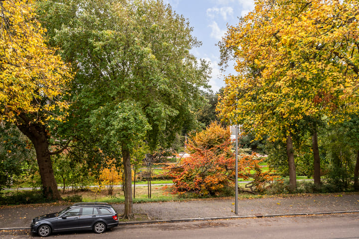 Photo 39 of Ruychrocklaan 56