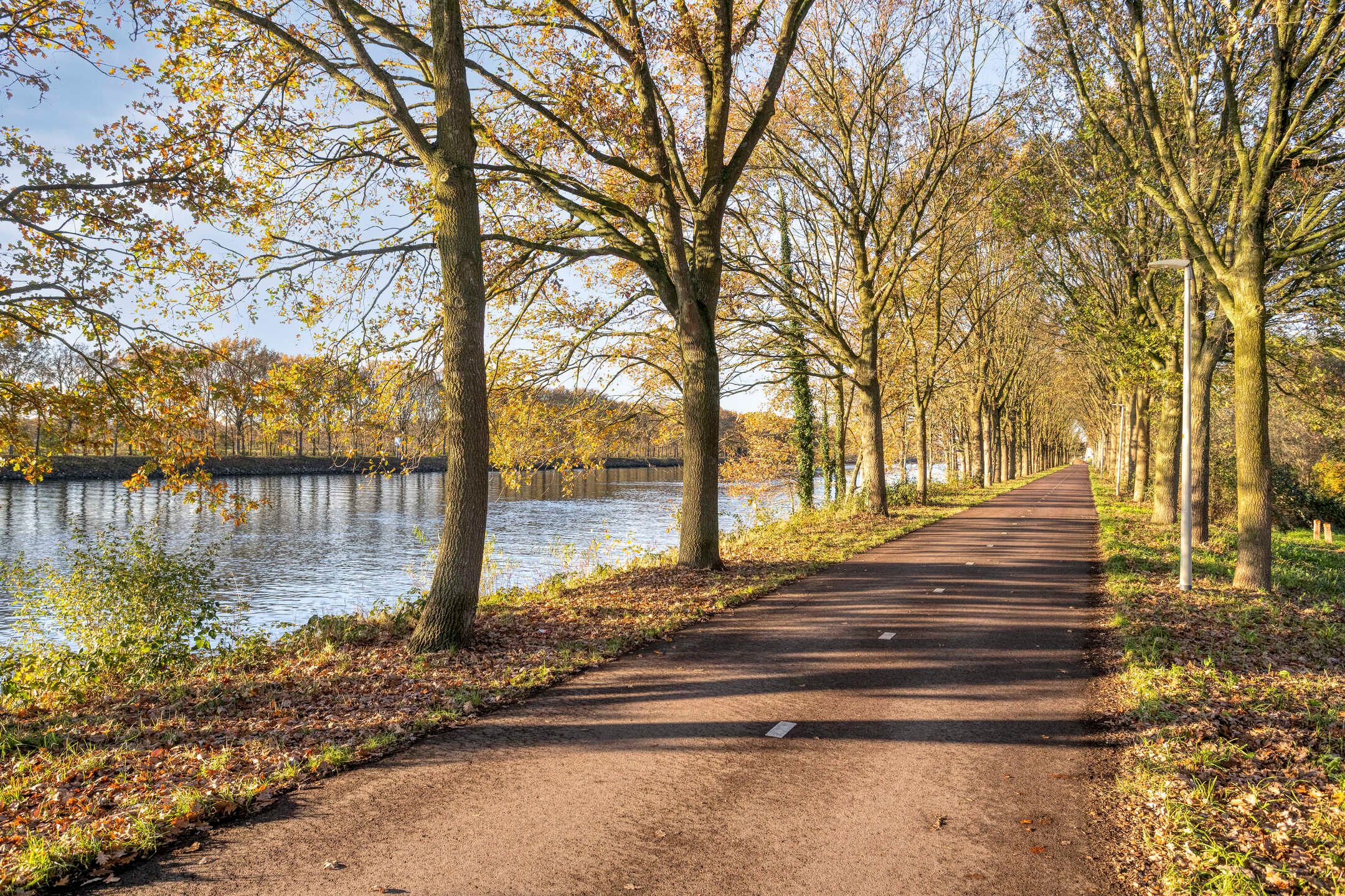 Foto 30 van Basalt 44