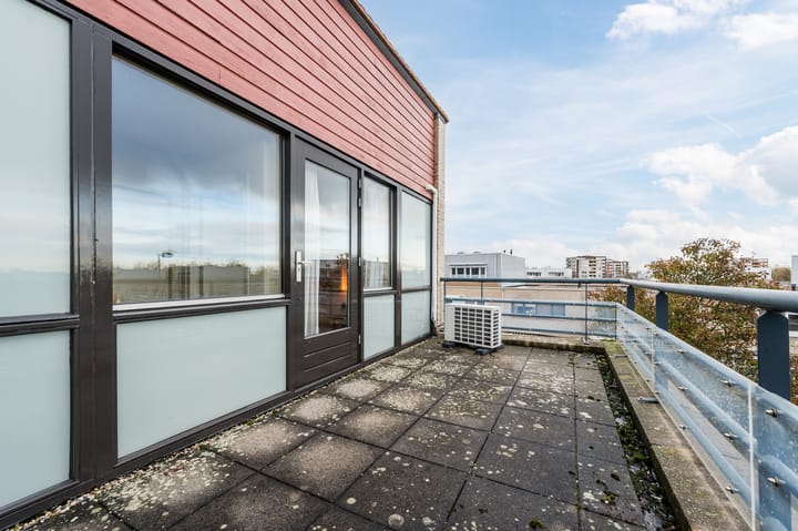 Photo 42 of Geelhartje 2