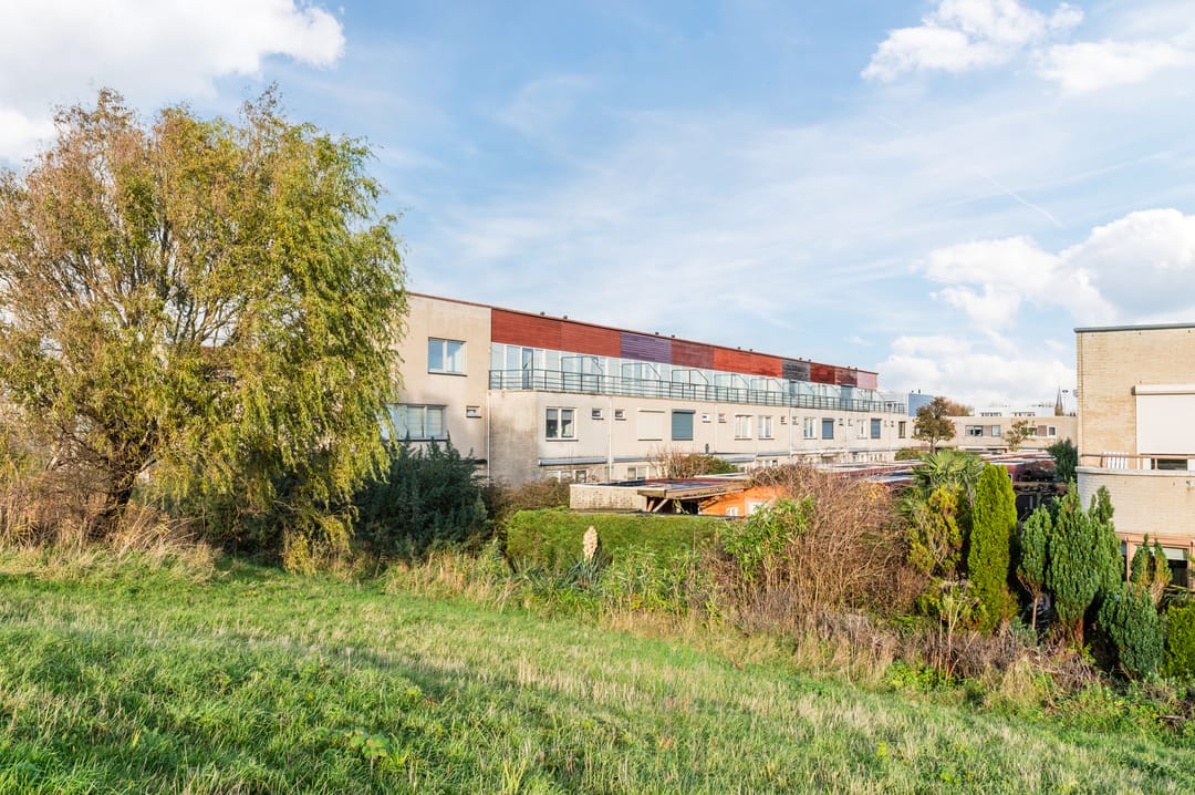 Foto 52 van Geelhartje 2