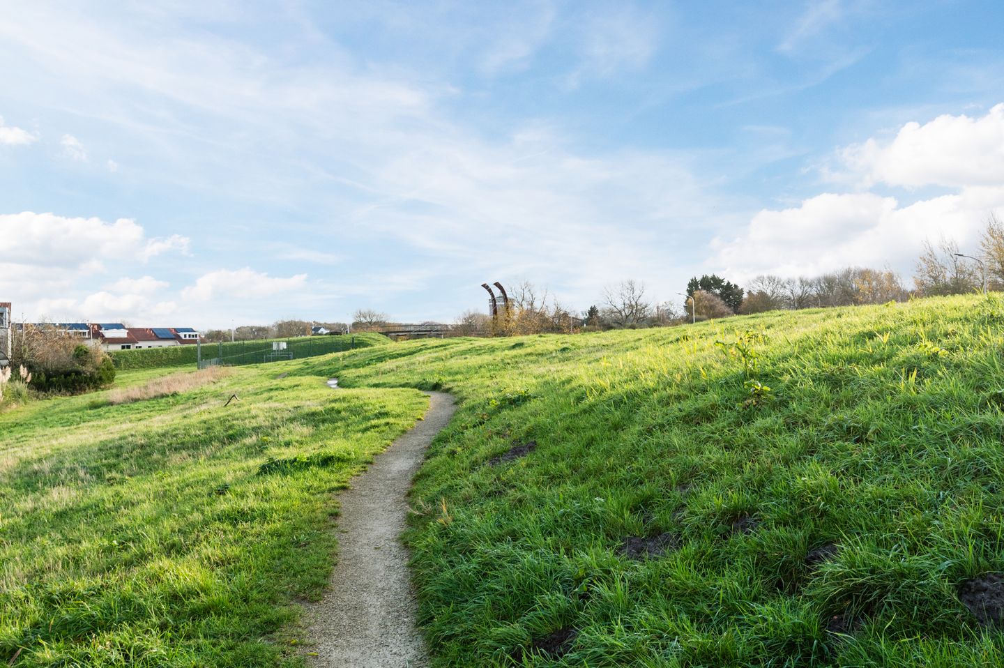 Foto 55 van Geelhartje 2