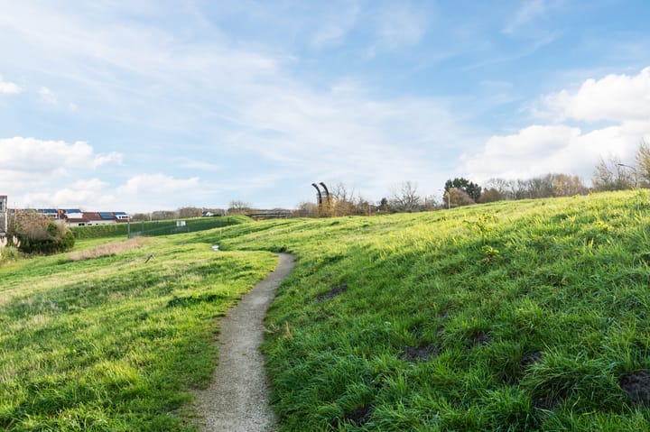 Photo 55 of Geelhartje 2