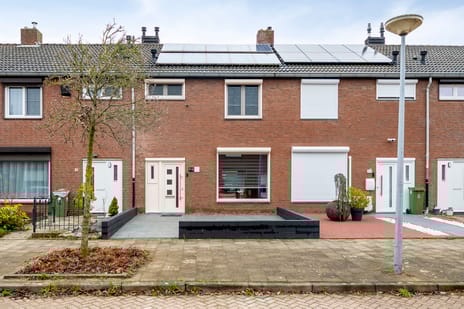 Haakbusruwe thumbnail