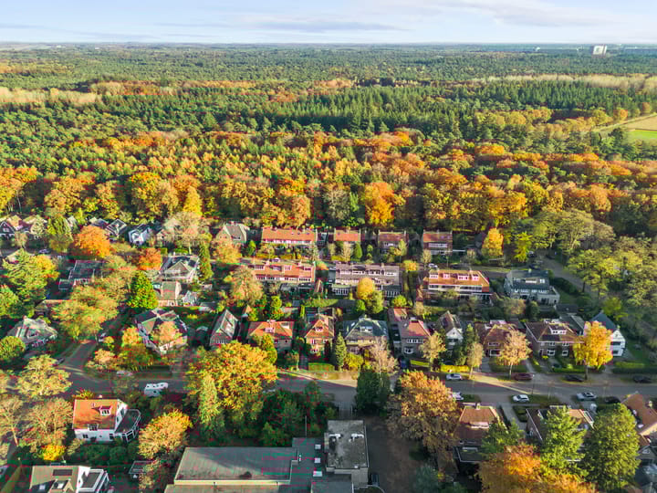 Photo 60 of Overboslaan 20