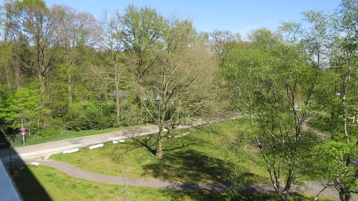 Foto 13 van Jan Wiegersstraat 81