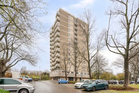 Johan Willem Frisostraat thumbnail