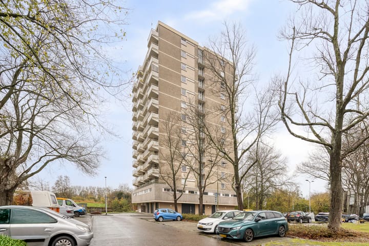 Johan Willem Frisostraat 133