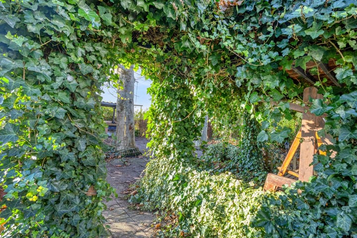 Photo 30 of Zwartsluisje 12