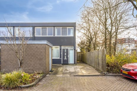 Raai 2 tertiary image