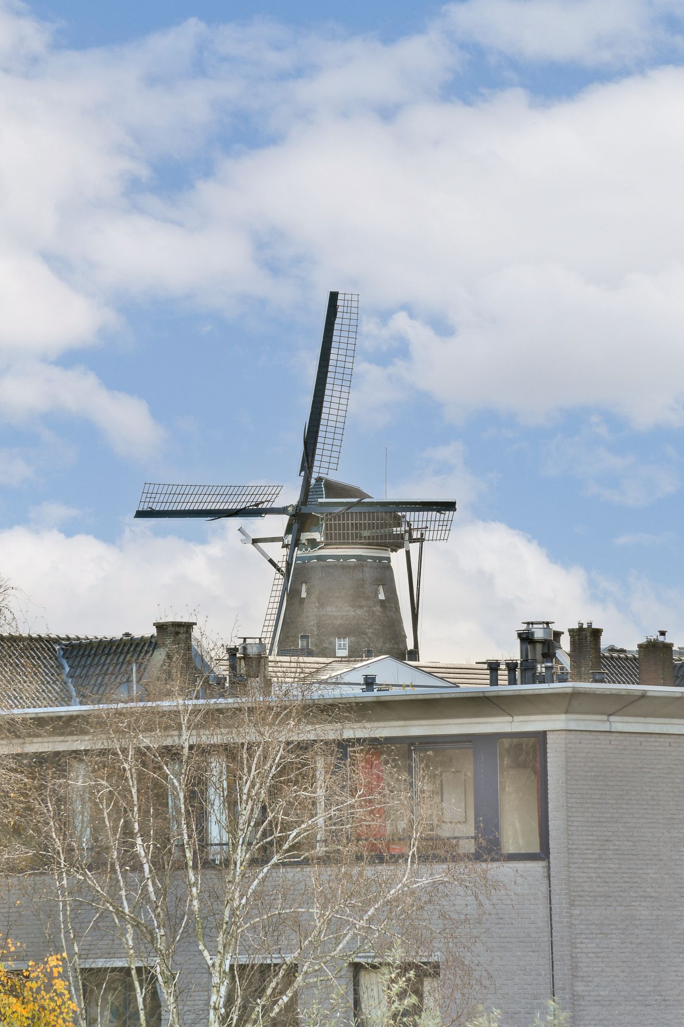 Foto 19 van Willem Parelstraat 184