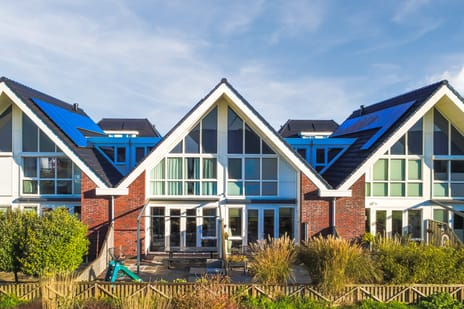 Purperreiger 33 secondary image