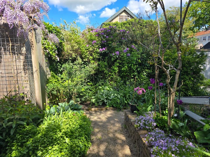 Foto 65 van Stationsplein 26