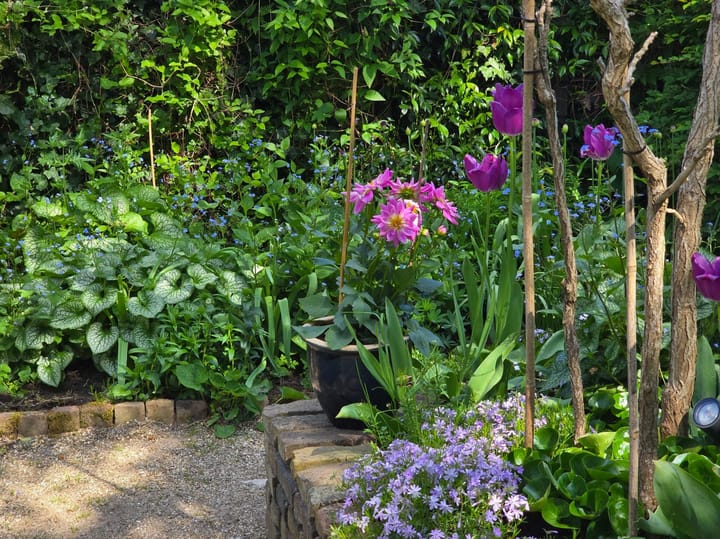 Foto 66 van Stationsplein 26