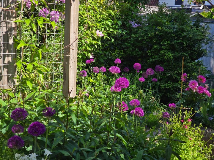 Foto 68 van Stationsplein 26