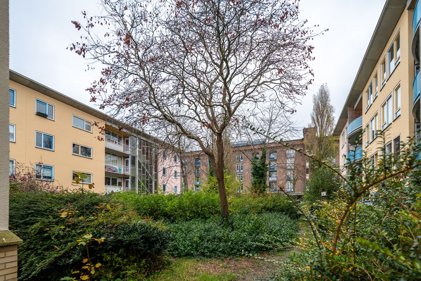 Foto 40 van J.C. van Epenstraat 47