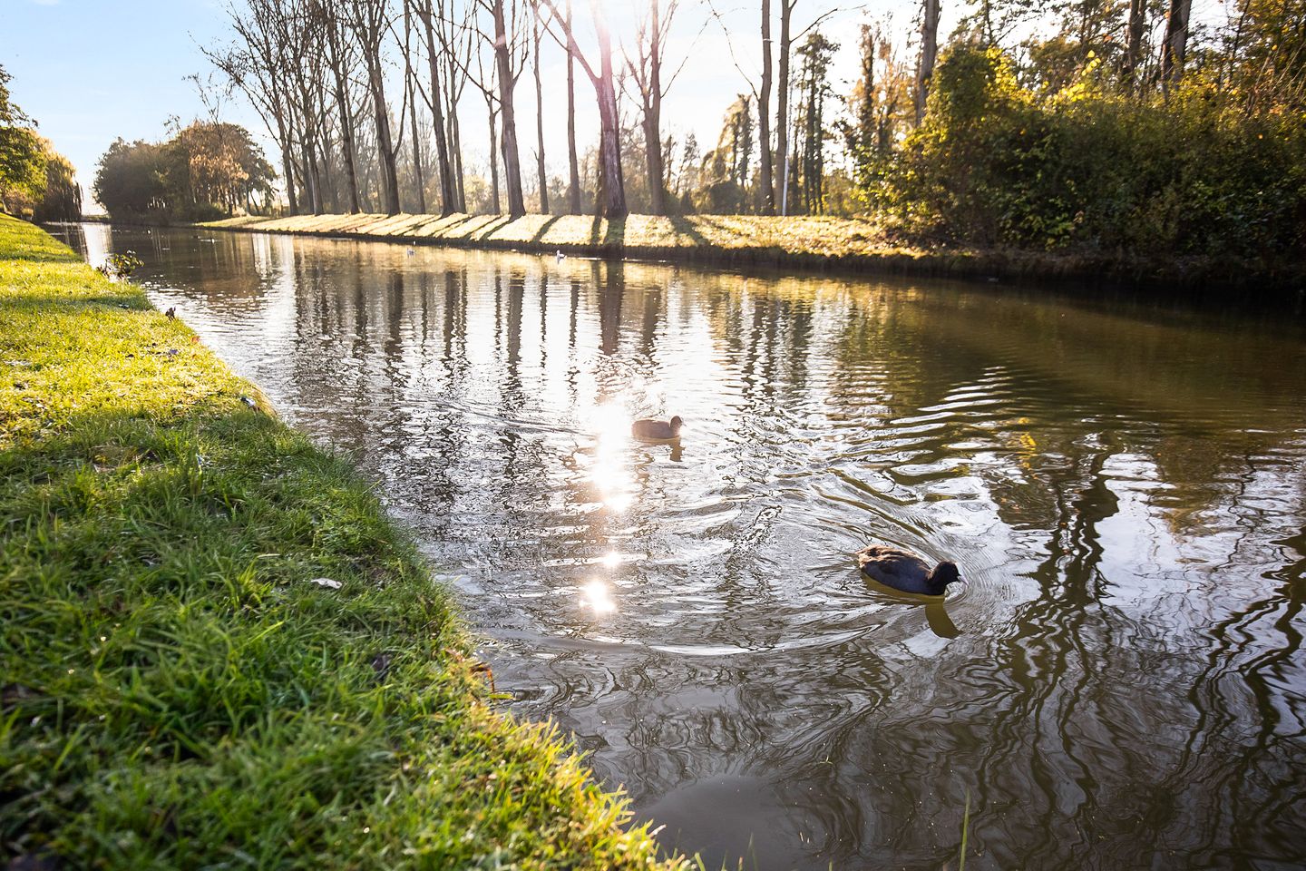 Foto 35 van Nachtschadestraat 68