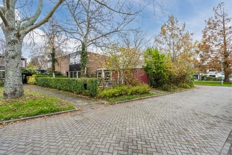 Dawson-Nes 15 tertiary image