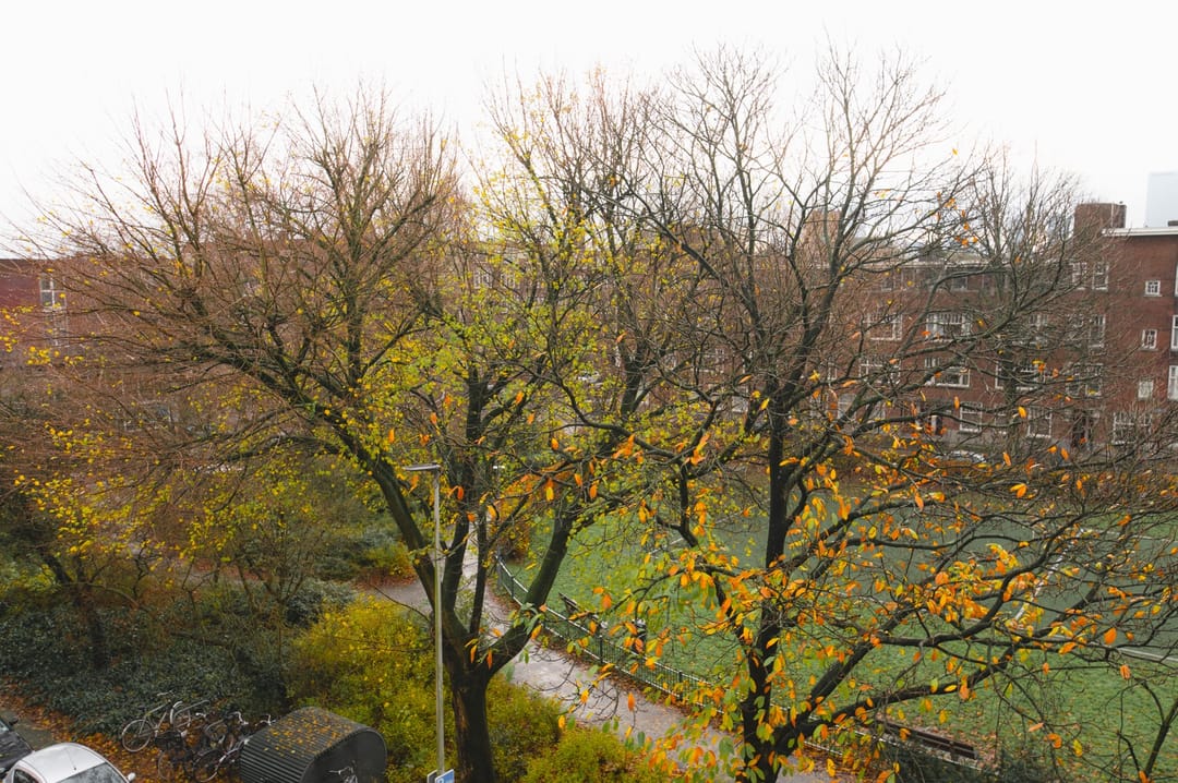 Foto 23 van Tak van Poortvlietstraat 17-B01