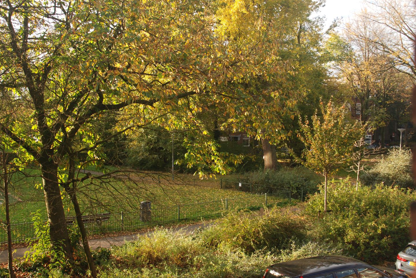 Foto 34 van Tak van Poortvlietstraat 17-B01