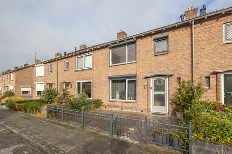 undefined main image