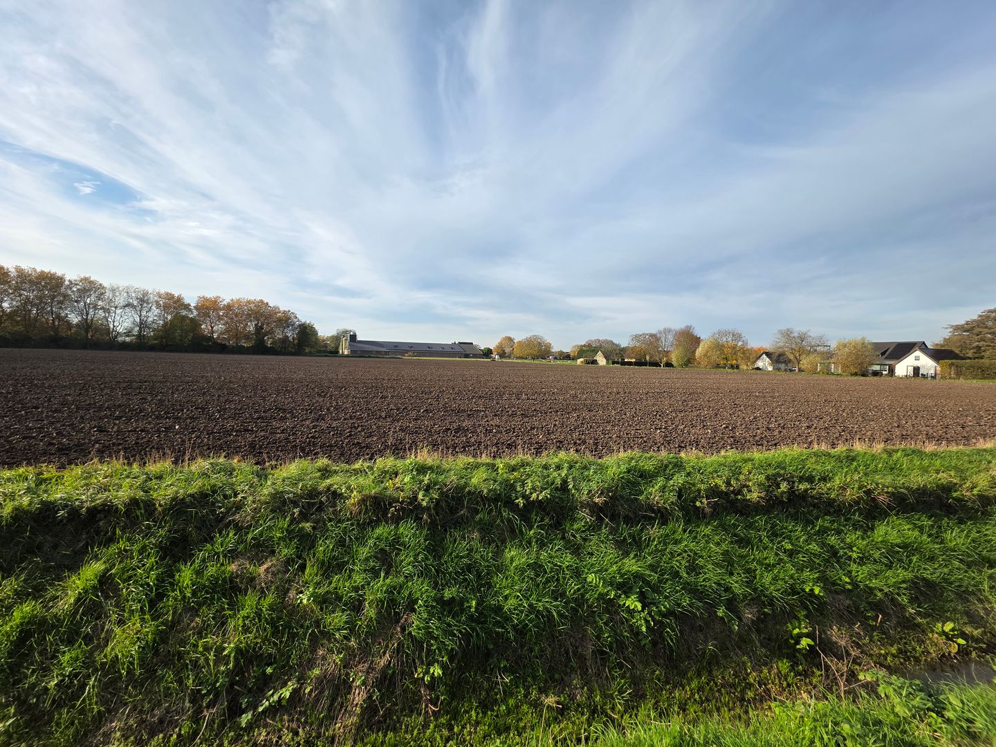 Bekijk foto 3 van Lingestraat