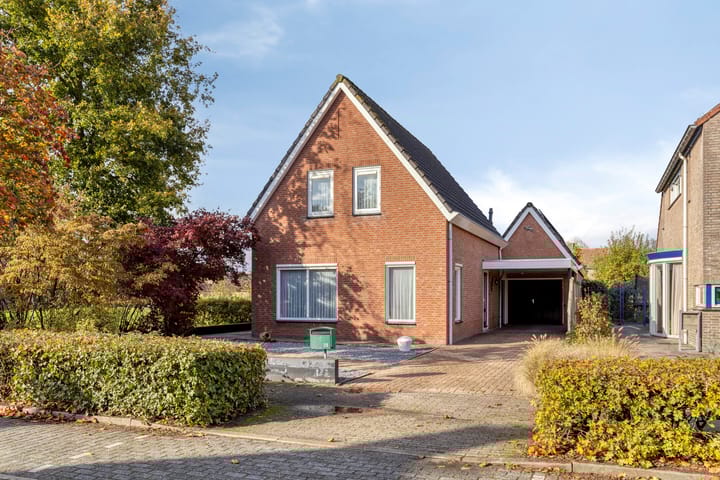 Foto 1 van Esdoorn 29