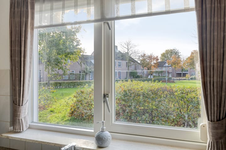 Foto 16 van Esdoorn 29