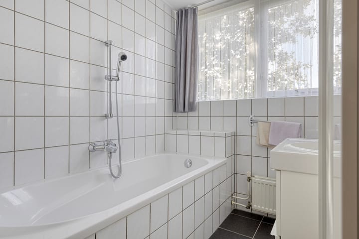 Foto 21 van Esdoorn 29