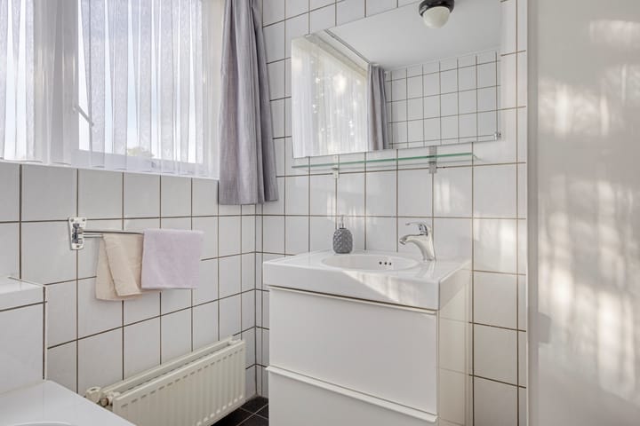 Foto 22 van Esdoorn 29