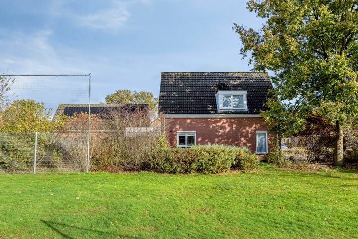 Foto 35 van Esdoorn 29