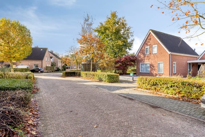 Foto 37 van Esdoorn 29